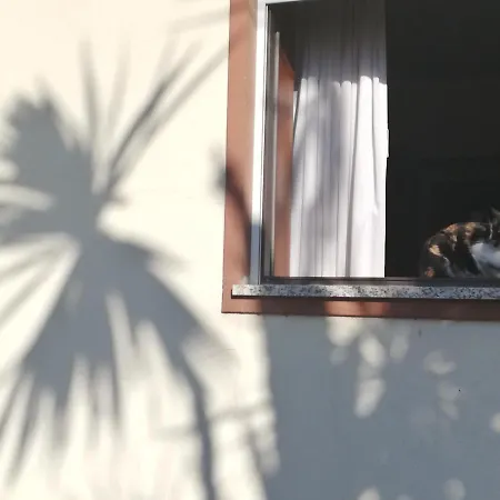 Casa Do Jardim Quarto em Acomodações Particulares Murtosa