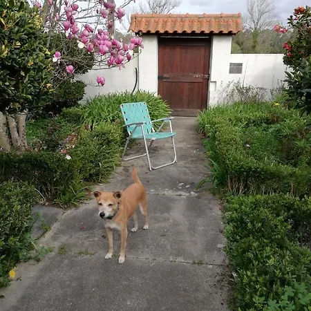 Quarto em Acomodações Particulares Casa Do Jardim Murtosa