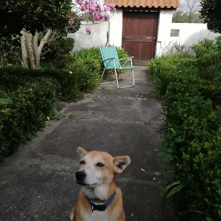 Casa Do Jardim * Murtosa